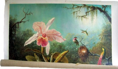 Cattleya Orchid & Three Brazilian Hummingbirds : Martin Johnson Heade 