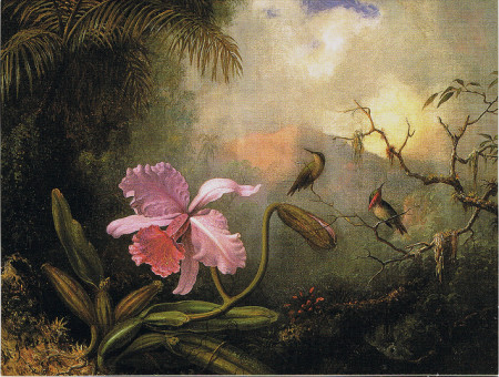 Cattleya Orchid & Three Hummingbirds Martin Johnson Heade