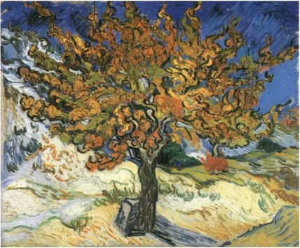 Mulberry Tree Vincent Van Gogh