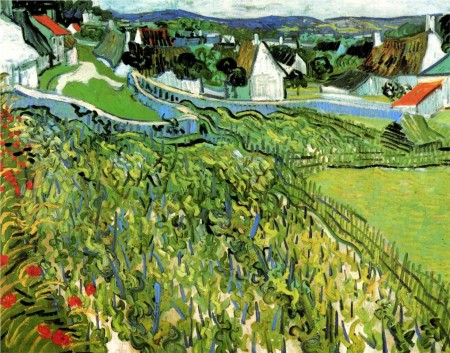 Vineyards at Auvers Vincent Van Gogh